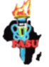 火花女篮 Logo