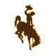 怀俄明大学 Logo