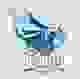 特莫基明斯克B队 Logo