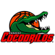 科科德里洛斯 Logo