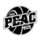 PEAC佩奇女篮 Logo