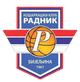 拉德尼克女篮 Logo