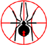 珀斯红背蜘蛛女篮 Logo