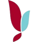 雅洛瓦大学 Logo