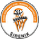 希贝尼克女篮 Logo