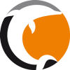 诺高平女篮 Logo