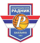 拉德尼科 Logo