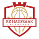 纳普拉达克 Logo