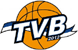 特莱维奥 Logo
