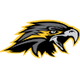 夜鹰 Logo