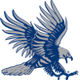 RS蓝鹰 Logo