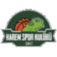哈勒姆 Logo