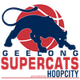 吉隆超级猫女篮 Logo