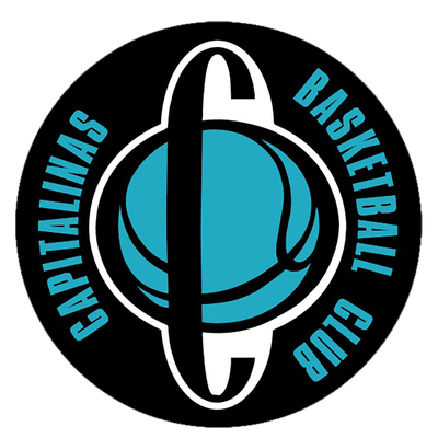 萨尔首都女篮 Logo