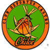 卡斯托洛 Logo
