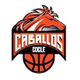 科克莱骏马 Logo
