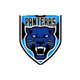 潘泰拉斯女篮 Logo