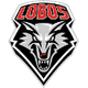 新兰女篮 Logo