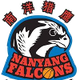 南洋猎鹰 Logo