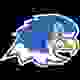 俄亥俄州圣母学院 Logo