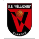 维拉兹尼米女篮 Logo