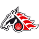 帕尔杜比采 Logo