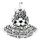 维德拉 Logo