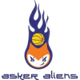 阿斯克外侨 Logo