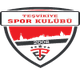 特斯维基亚 Logo