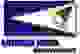 美属萨摩亚女篮 Logo