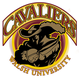 沃尔什大学 Logo