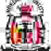 尼德加天使 Logo