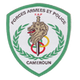 FAP雅温得女篮 Logo