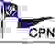娜塔索女篮 Logo