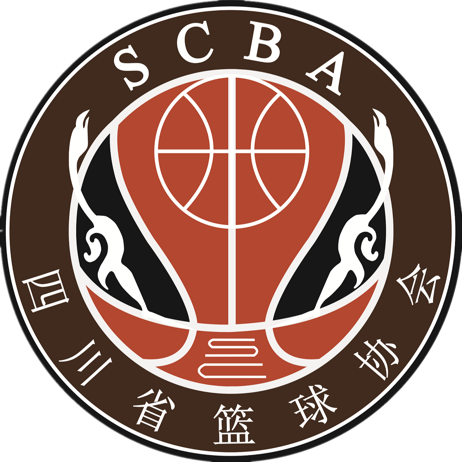 四川女篮 Logo