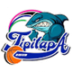 蒂皮塔帕女篮 Logo