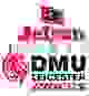 莱切斯特骑士 Logo