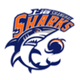 上海久事U21 Logo