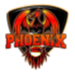 费尼克斯女篮 Logo