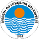 布尤克塞希尔女篮 Logo