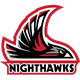 西北拿撒勒大学 Logo