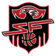 武汉盛帆白鹤女篮 Logo
