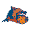 迪纳摩车里雅宾斯克 Logo