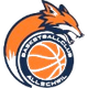 BC奥什维尔 Logo