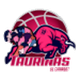 陶里纳斯女篮 Logo