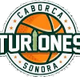 图里奥内斯 Logo