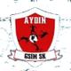 艾丁吉西姆女篮 Logo