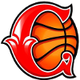 维德诺耶B队女篮 Logo
