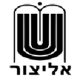 特拉维夫艾祖尔女篮 Logo