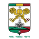贾拉夫女篮 Logo